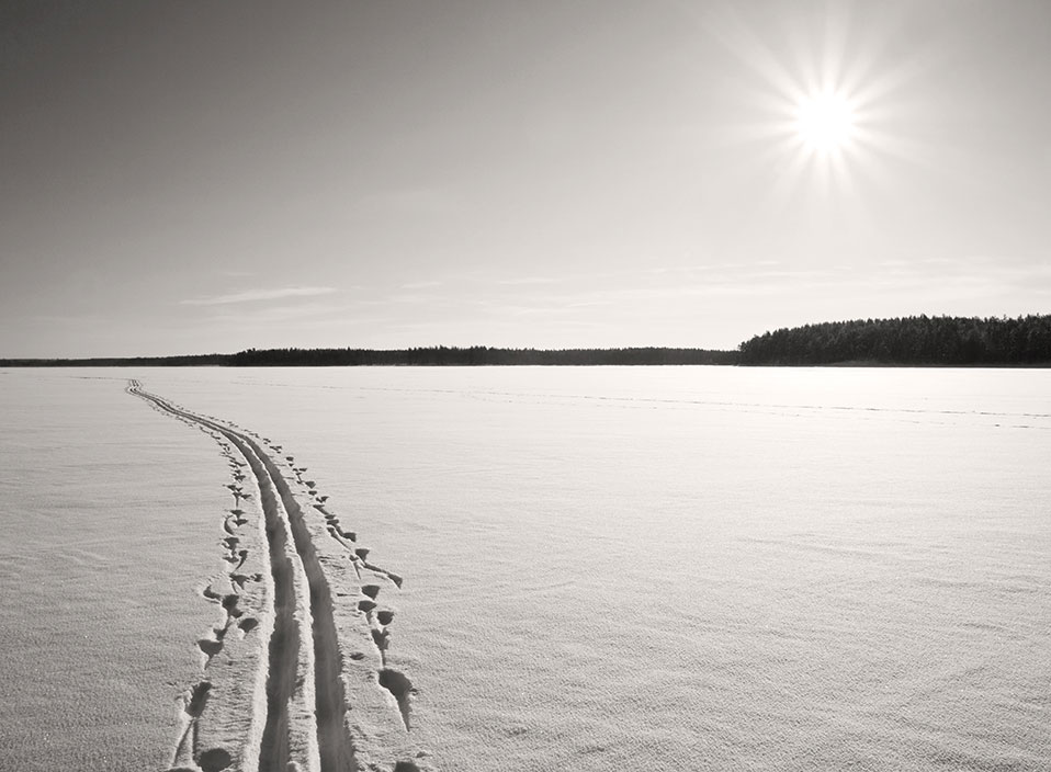 Foto: ett skidspår i ett vintrigt landskap